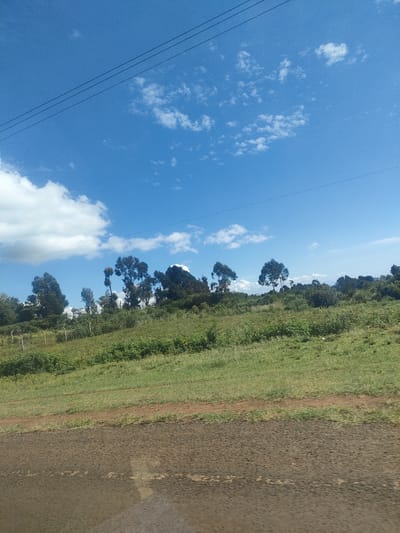 The image depicts a landscape in the Kibirichia ward, Kenya. The foreground shows an unpaved surface, likely a road or path, with textured brown earth. Above, a grassy slope rises, transitioning into a field dotted with green vegetation. A line of trees marks the horizon, with varying heights and shapes of foliage. The sky dominates the upper portion of the frame, a bright blue canvas with scattered white clouds. Two power lines stretch horizontally across the upper left quadrant. The scene conveys a rural or semi-rural environment with a mix of natural and man-made elements.