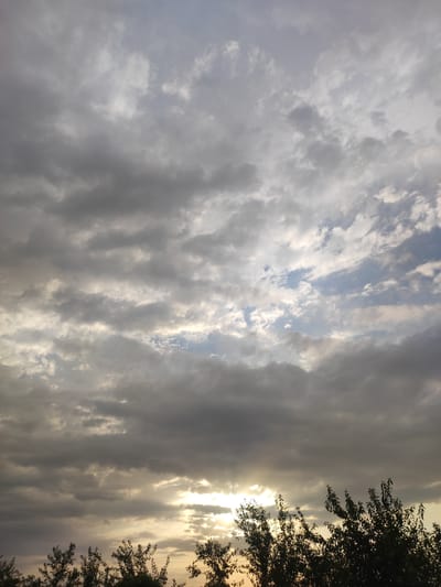 The image depicts a cloudy sky above a treeline, with the sun partially visible through the clouds, casting a warm glow. The scene is set in Pakhtachi, Uzbekistan. The sky is filled with a mix of dark gray and lighter, wispy clouds, suggesting an overcast or approaching weather system. The sun's rays are peeking through the denser cloud formations, creating streaks of light and highlighting the textures of the clouds. The lower portion of the image shows the silhouetted tops of trees, with their leaves dark against the brighter sky. The overall impression is one of a natural landscape at either sunrise or sunset. There are no people or discernible objects other than the sky and trees.