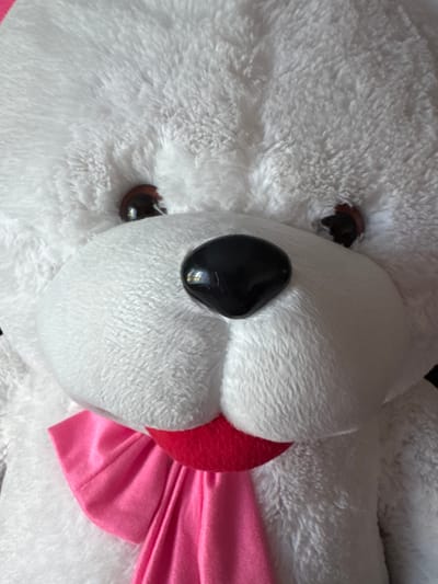 This is a close-up, head-on, full-frame shot of a white teddy bear. The teddy bear has large, dark, glossy eyes and a prominent black nose. It is wearing a pink ribbon tied into a bow around its neck. The fur of the teddy bear appears soft and fluffy. The background is blurred and out of focus. There is no visible indication of the location being Lysaya Gora, Russia.