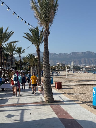 In Pla Parcial Platja, Spain, a sun-drenched promenade is bustling with activity. Palm trees line the paved walkway, which features a patterned design of white and reddish-brown marble. To the left, market stalls are set up, with people browsing goods. Several individuals walk along the promenade, some carrying bags and one man is carrying a cooler with "SUMMER" written on it. Behind the promenade, a sandy beach stretches out, dotted with beach chairs and umbrellas. In the background, buildings and a lifeguard tower are visible, with a mountain range forming a picturesque backdrop under a clear blue sky. The atmosphere suggests a lively summer day at the coast.