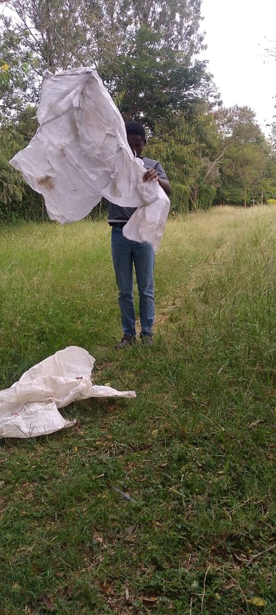 An individual is depicted standing in a grassy field in West Sakwa ward, Kenya. The person, appearing male, is wearing a dark grey short-sleeved shirt, blue jeans, and dark footwear. They are positioned centrally, actively manipulating a large, crumpled white fabric object with both hands, holding it upright. This object exhibits creases and minor discoloration. A separate, smaller section of similar white crumpled fabric, with visible red elements, lies on the green grass in the lower-left foreground. The background consists of tall green grass and a dense line of mature trees under an overcast or bright sky.