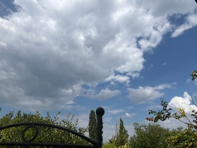 The image depicts a view of the sky and greenery, potentially from a garden or yard, with a prominent black metal fence in the foreground. The sky is a mixture of blue and large, grey and white clouds. Below the sky, a dense line of green foliage from various trees and bushes stretches across the lower portion of the image. Two tall, slender trees, likely cypresses, are visible in the middle ground, with a dark, spherical finial atop a pole positioned between them. A flowering branch with pink and white blossoms extends from the right side of the frame, adding a touch of color to the scene. The overall impression is one of an outdoor setting on a cloudy day. The location is identified as Marcăuți, Moldova.