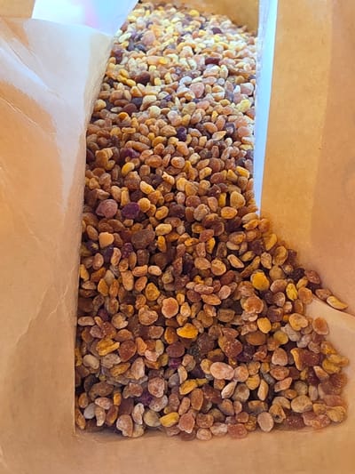 The image shows a close-up view of bee pollen collected in a brown paper bag. The pollen grains are small and granular, with a varied color palette including shades of yellow, orange, brown, and some purple. The grains are densely packed within the bag, which is partially open, revealing the product. The background is blurred and shows the texture of the paper bag. There are no people or animals present in the image. The scene is static and appears to be indoors. The specific location in Indzhe Voyvoda, Bulgaria, is not discernible from the visual information provided in the image.