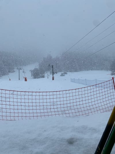 The scene depicts a snow-covered winter landscape in La Salle-les-Alpes, France, during active heavy snowfall. The sky is uniformly overcast, contributing to low visibility. In the immediate foreground, a red square-mesh safety net extends horizontally, partially submerged in a thick layer of snow. To the right of the foreground net, two vertical poles, one yellow and one green, are partially visible, likely supporting the net.
Beyond the foreground net, a wide expanse of untouched deep snow covers the terrain, which gently slopes downwards towards the center-right before ascending into the background. Multiple ski lift towers are visible. On the left side of the frame, two prominent ski lift towers with attached chairs rise from the snow. Further back and slightly to the right, another ski lift tower is present, along with connecting cables stretching across the upper half of the image.
Interspersed throughout the snowfield, particularly near the bases of the ski lift towers, are several cylindrical orange objects, possibly markers or protective barriers. In the midground, to the right, a second, lighter-colored mesh fence, resembling a narrower safety net, runs horizontally across the snow. The background is dominated by a dense, snow-laden forest of coniferous trees, which merges with the hazy sky due to the ongoing snowfall. No individuals or active equipment are discernible in the scene.