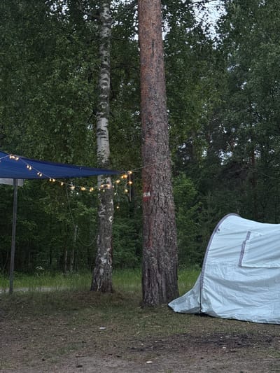 In a wooded area, likely near Bolshaya Izhora, Russia, a campsite is set up. A light blue tarp is stretched between poles, creating a sheltered area. String lights with yellow bulbs are draped across the tarp and attached to a tall, rough-barked pine tree. To the right of the pine tree, a light-colored tent is pitched on the ground, which is covered in a mixture of dirt, pine needles, and grass. Behind the tent and trees, a dense forest provides a dark green backdrop. The overall atmosphere suggests a tranquil outdoor setting.