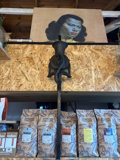 The image captures an interior shot in what appears to be a rustic coffee shop setting, likely located in Muizenberg, South Africa. Displayed on a wall featuring a textured plywood panel, there is an old, cast-iron hand-cranked coffee grinder mounted in the center. To the left of the grinder, a framed portrait of a woman with distinctive makeup and a yellow striped collar leans against the wall.
To the right of the grinder, shelves display several bags of "Espresso Concepts" coffee, with labels indicating "Decaf," "Roast Master," "Ethiopian," and "Guatemalan" varieties. Beneath the coffee bags, there are boxes of "Compostable Coffee Pods". The items are arranged with a sense of rustic charm against the backdrop of raw wood and exposed elements. The lighting is natural, creating shadows and highlights that enhance the texture of the objects and materials.
