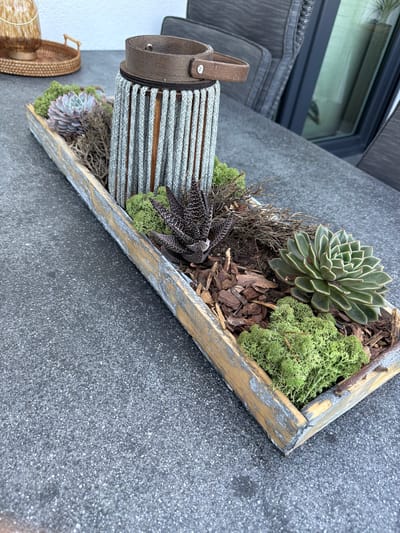 The image depicts an outdoor setting, likely a patio or garden area, as indicated by the gray, speckled table surface and the presence of outdoor furniture in the background. The primary focus is a rectangular wooden planter box filled with a decorative arrangement. The planter itself appears weathered, with a distressed wooden finish showing hints of gray and yellow.
Inside the planter, a variety of elements are present. A cylindrical lantern with a rustic design, featuring a rope or cord wrapping around a wooden frame and a leather handle, stands prominently in the center. Surrounding the lantern are several succulents, including a pale pinkish-purple one to the left and a green one with pointed leaves and red tips to the right. Interspersed with the succulents are patches of vibrant green moss and some dried twigs or branches, adding texture and natural appeal. The base of the planter is filled with wood chips.
In the background, a woven tray with a glass container and handles is visible on a light-colored surface. To the right, the edge of dark gray outdoor seating can be seen, along with a portion of a window or door frame. The overall scene suggests a well-decorated outdoor living space.
The specific location is described as Bissendorf, Germany.