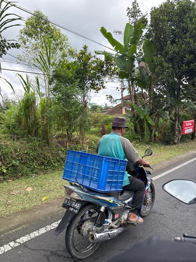 A person is riding a motorcycle along a paved road bordered by lush green vegetation and trees. The rider, wearing a cap and a t-shirt with a turquoise neckline, is carrying a bright blue plastic crate behind them, attached to the back of the motorcycle. The crate is empty. The motorcycle has a license plate that reads "DK 8218 AR". In the background, there are houses with red roofs nestled amongst the trees. A red sign with white text, "DIJUAL TANAH LUAS 400 M", which translates to "FOR SALE LAND 400 SQM", is hanging from a tree. The sky appears overcast, suggesting a cloudy day. The scene suggests a rural or semi-rural setting in Bangli, Indonesia, likely during daylight hours.