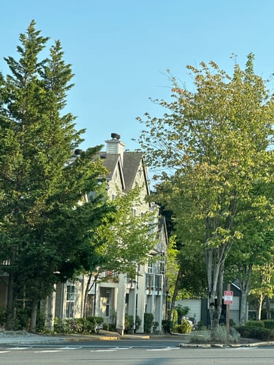 The image shows a street view in North Lynnwood, United States, featuring a multi-story building complex with light-colored siding and dark roofs, partially obscured by lush green trees. The building has architectural details such as gabled roofs, dormer windows, and balconies with white railings. Several evergreen trees and deciduous trees with green foliage are prominent in the foreground and surrounding the building. A street with crosswalk markings is visible in the lower portion of the image, and a red "PRIVATE PROPERTY" sign is mounted on a wooden post near a tree. The sky is clear and blue, suggesting a sunny day. There are no people visible in the image.