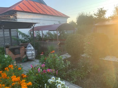 The image shows a backyard scene in Yamanovo, Russia, bathed in the warm glow of late afternoon sun. In the foreground, a vibrant flower bed bursts with orange marigolds and pink and white dahlias. To the left, a brick oven stands beside a large, white, cylindrical object covered in a clear plastic bag. A wooden shed is visible behind it.
Dominating the mid-ground is a burgundy-colored gazebo with a metal frame, providing a shaded seating area. Lush green bushes and trees surround the gazebo, with a larger, dense green hedge on the right. In the background, a traditional house with a red metal roof and white walls is partially visible. Power lines are strung across the bright, clear sky. The overall impression is one of a peaceful, well-tended garden in a rural or suburban setting.