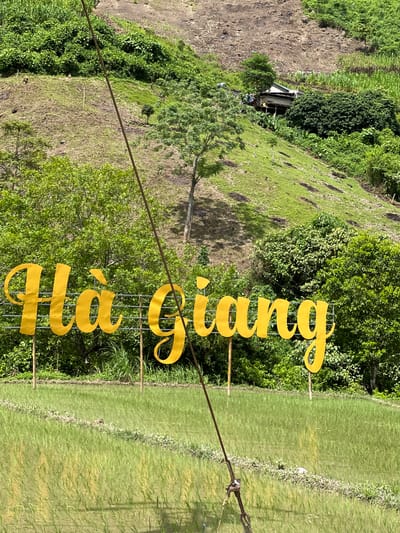 A sign in bright yellow letters that reads "Hà Giang" is displayed in front of a lush green rice paddy. The sign is supported by metal poles and the letters are ornately styled. Behind the rice paddy, a steep, verdant hillside rises, dotted with trees and some distant structures. A thin wire runs diagonally across the image, from the top left to the bottom right, potentially part of a zipline or utility line. The scene depicts a natural landscape, likely in a rural area given the terraced rice fields and hillside vegetation. The presence of the sign indicates a place of interest or a designated tourist spot within Hà Giang province, Vietnam.