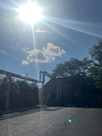 This is a vertically oriented, low-angle shot of a bright sunny day in Gladzor, Armenia. The sun is high in the sky, casting strong rays and lens flare across the scene. The sky is a clear blue, with a few wispy white clouds. In the foreground, to the right, is a textured asphalt surface, possibly a road or pathway, with a thin crack running through it. A faint, circular, greenish light is visible on this surface.

To the left of the asphalt, a dark, indistinct area is visible, possibly a building or structure. There is a metal railing with a wooden top running diagonally across the frame, separating the asphalt from a darker, vine-covered area. Overhanging the scene from the top are the dark green leaves of a tree. The overall impression is one of a bright, sunny outdoor environment, likely during the daytime, with elements of man-made structures and natural foliage. No people or specific activities are depicted.