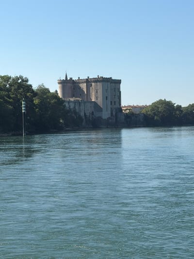 This media file features a wide, horizontal shot of a castle on the left and a body of water on the right. The castle, an imposing stone structure with multiple turrets and battlements, appears to be a historic landmark. It is nestled among lush green trees, which also line the bank of the water. The water itself is a deep blue-green, with gentle ripples creating a textured surface. The sky above is a clear, pale blue, suggesting a fair weather day. The lighting indicates it is likely morning or late afternoon, with a soft, diffused light illuminating the scene.

The orientation of the image is unusual, appearing to be taken from a low angle and rotated 90 degrees clockwise. The water occupies the right half of the frame, reflecting the sky and the distant shore. The castle dominates the left half, its architectural details clearly visible. In the distance, beyond the immediate treeline, some buildings with red rooftops are visible, hinting at a nearby town or settlement.

A thin, white and green striped pole stands vertically in the water near the treeline on the left side of the image. A small dark bird is visible flying in the sky above the castle. The scene evokes a sense of tranquility and timelessness, a picturesque view of a medieval fortress by the water. There is no visible text in the image.