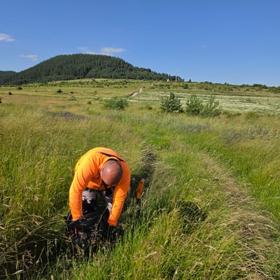A bald man wearing an orange long-sleeved shirt and patterned pants is bending down in a grassy field in Ravnogor, Bulgaria. He is reaching into a black backpack. A yellow shovel is sticking out of the ground to his right. The field is overgrown with tall green and brown grass, with some purple flowers visible in the distance. In the background, a large, tree-covered hill rises against a clear blue sky. A faint dirt path winds up the side of the hill, and a white tower with antennas is visible on the horizon. The scene appears to be a remote, natural landscape under a bright sun.