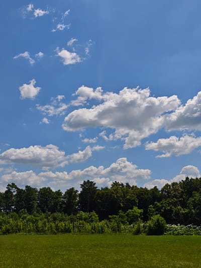 The image depicts a wide, open green field in Horodyshche, Ukraine, under a bright blue sky scattered with fluffy white clouds. A dense line of trees forms the background, with varying shades of green indicating different species and densities of foliage. To the right of the treeline, a pale green soccer goal frame is visible, partially obscured by the greenery. The foreground is dominated by the lush green grass of the field, which appears to be a well-maintained area. The overall impression is one of a serene, rural landscape on a clear, sunny day.