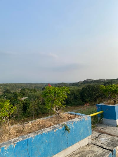 This image depicts a view of a lush, green landscape with a clear sky above, as seen from an elevated vantage point. In the foreground, there is a cracked, blue concrete structure with dry grass and a few small plants growing within it. A bright yellow pipe extends from this structure into the landscape. The background is filled with a dense expanse of trees and vegetation, suggesting a rural or natural setting. The location is identified as Pajaran, Indonesia. No people are visible in the image, and there are no specific actions or interactions occurring. The environment is primarily natural with some man-made elements in the foreground.
