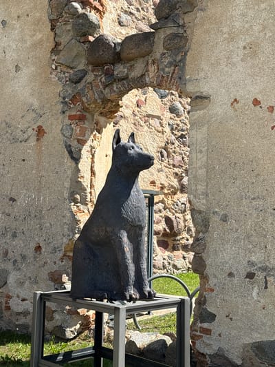 A dark, life-sized statue of a dog sits on a metal stand in front of a crumbling stone wall. The dog is positioned in the center of the frame, facing right with its head turned to look to the right. The statue has a textured surface, appearing to be made of a dark wood or possibly metal. The wall behind the dog is made of large, rough stones and red bricks, with areas of crumbling plaster. The background shows a grassy area and more of the stone structure, suggesting it is an outdoor historical site. This statue is located at the ruins of the Livonian Order Castle in Dobele, Latvia.