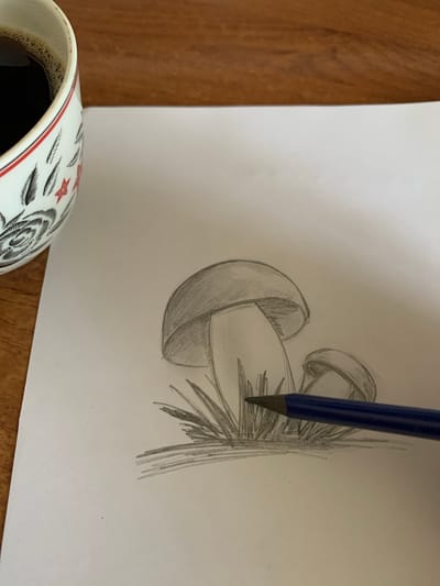 A pencil drawing of three mushrooms in grass is depicted on a white sheet of paper. A blue pencil is being used to add shading to the drawing. To the left of the drawing, a white mug with red and black decorative elements is filled with dark coffee. The objects are placed on a wooden surface. The image is taken from a high-angle shot, and the scene is illuminated by natural light. There is no indication of Kavalerovo, Russia in the image.