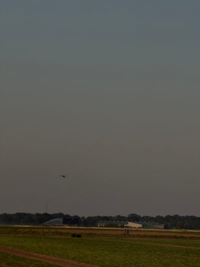 This vertical, low-angle, medium shot captures a rural landscape at dusk, likely on the outskirts of Geldern, Germany. The sky occupies the majority of the frame, transitioning from a lighter tone at the horizon to a deeper, muted gray at the top. A lone bird, silhouetted against the sky, flies in the upper-middle section of the image.
In the lower portion of the image, a vast agricultural field unfolds. The foreground is a vibrant green, appearing to be a cultivated crop with distinct rows. Further back, the field transitions to darker, browner soil, also arranged in rows. In the middle ground, a line of buildings is visible, featuring a large, dark-roofed structure with a long, light-colored facade that appears to be a greenhouse or industrial building with multiple windows. A water sprinkler system is active, spraying water over a section of the field near the building. Adjacent to this, a smaller building with a lighter roof is visible.
Two small figures, appearing as people, are walking in the middle ground, between the fields and the buildings. They are positioned on a path or dirt road. A line of trees forms a dark, dense backdrop behind the buildings, suggesting a wooded area. The overall impression is one of agricultural activity in a serene, twilight setting.