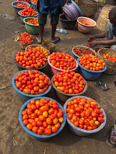 This image depicts an outdoor market scene in Ogere, Nigeria, on a dry, brown earth surface. Numerous containers of produce are arranged across the ground. The foreground and midground feature multiple plastic basins, primarily blue, pink, and grey, filled with ripe red and orange tomatoes of various sizes.
Two individuals are visible. One person is standing in the upper-central portion of the frame, visible from the knees down, wearing blue shorts and dark flip-flops. This individual holds a purple plastic basin. A clear plastic water bottle lies on the ground near their feet.
Another individual is seated on the right side of the frame, visible from the torso. They wear a dark shirt with "Bear" text on the sleeve and are actively sorting red chili peppers from a light-colored plastic basin with both hands. A dark patterned shoe is visible on their right foot. Nearby, a small woven basket holds additional red peppers, and another contains mixed yellow and orange peppers. An empty dark woven basket and a black plastic item are also present on the ground.