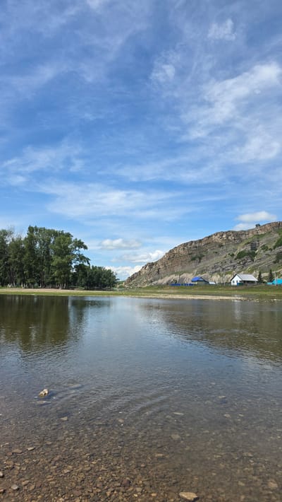 A wide, calm river flows towards the viewer, its surface reflecting the blue sky and white clouds above. The riverbed is visible through the clear water, strewn with pebbles and rocks. On the left bank, a dense line of tall green trees stands against a backdrop of a bright blue sky with scattered wispy clouds. On the right bank, a rugged, rocky hill with layered striations slopes upwards, dotted with small buildings. Among these buildings, a white house with a dark roof and blue trim is prominent, with other structures appearing as blue and light-colored shapes. The scene is set in the village of Tash-Asty, Russia, likely during daylight hours with fair weather conditions.