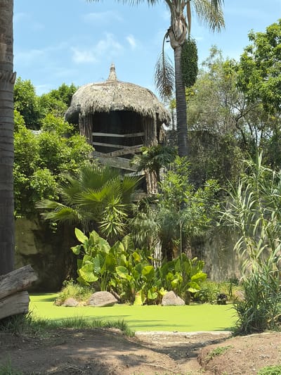 A medium, wide shot depicts a tropical setting, likely outdoors during daylight hours. The scene prominently features a thatched-roof structure, potentially a small hut or gazebo, constructed of natural materials, surrounded by lush green foliage, including various trees and plants. To the right of the structure is a body of water covered with dense green algae or duckweed. The sky is visible in the upper portion of the frame, exhibiting a clear, blue color. The presence of tropical vegetation and the unique architectural style suggest a location within a natural environment, possibly in a park or botanical garden. The location is San Pedro Zacachimalpa, Mexico. No people or specific actions are visible in the scene.