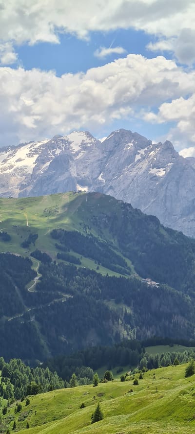 The image depicts a panoramic view of a mountainous landscape in Selva - Wolkenstein - Selva di Val Gardena, Italy. The foreground features a lush green, rolling hillside dotted with scattered evergreen trees. In the mid-ground, a dense forest of dark green trees covers steep slopes, with winding paths visible. Higher up, a lighter green, treeless mountain slope is visible, marked by a winding road and what appear to be ski lifts or cable car stations. The background is dominated by imposing, rugged mountain peaks capped with snow and ice. The sky is a bright blue, partially obscured by fluffy white clouds, with a faint contrail visible. The scene is natural and undeveloped, suggesting a remote, high-altitude location.