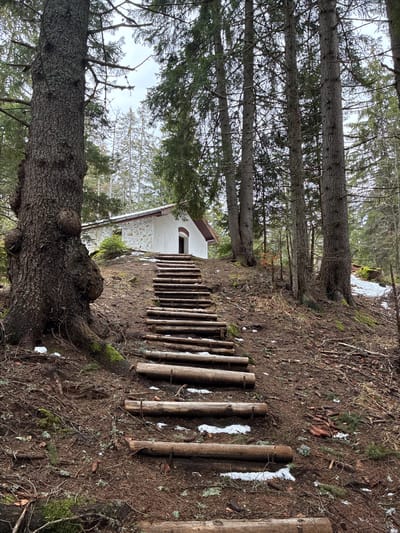 The image shows a forest path leading to a small, white building with a brown roof, likely a chapel or small house. The path is constructed with wooden logs laid across the dirt. The ground is covered in fallen leaves, pine needles, and some patches of snow. Tall trees surround the path and building, creating a dense forest environment. The image is taken at an angle looking uphill towards the structure. The precise location in Manastir, Bulgaria cannot be determined from the image alone.