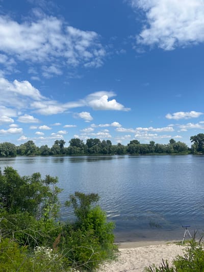 The image depicts a scenic view of the Desna River in the village of Pohreby, Ukraine, on a clear day. The sky is a vibrant blue, adorned with scattered white cumulus clouds. The river itself is calm, reflecting the sky and the lush green trees that line its opposite bank.
In the foreground, dense green foliage, including branches and small white flowers, partially obscures the view of the sandy riverbank. A fishing rod is set up on a tripod on the sand, indicating recreational fishing. The water near the shore is shallow, with visible ripples on the surface. The overall scene is serene and natural, capturing the beauty of the Ukrainian countryside.