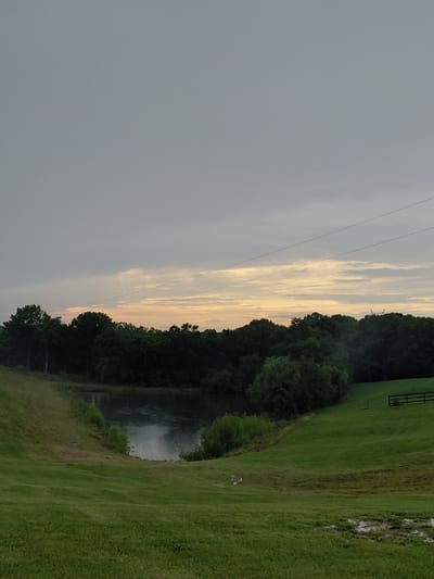 The image depicts an outdoor scene with a focus on a body of water, likely a pond, bordered by lush green grass and a dense line of trees. The water appears to have a fountain or spray creating a misty effect. To the left of the water, a gradient of sky is visible, transitioning from a pale gray to warmer tones of yellow and orange, suggesting either a sunrise or sunset. Thin, dark lines, possibly power lines, stretch across the sky. In the background, a dark wooden fence is partially visible against the green grass. The overall mood is tranquil and natural. The image is oriented vertically. There is no visible text. The location is identified as Bagdad, United States.