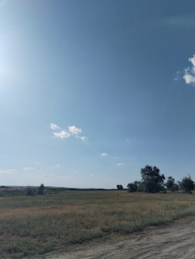 The image depicts an outdoor scene in Bilousivka, Ukraine, under a clear blue sky with sparse white clouds. The foreground is a dirt road with tire tracks. Beyond the road is a field of dry grass and vegetation, with a few scattered bushes. In the middle ground, there is a line of trees of varying sizes. In the distance, the landscape appears flat and agricultural. The sun is visible on the upper left side of the image, casting a bright light. There are no people or animals present in the scene.