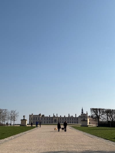 The image displays an expansive outdoor scene within the gardens of the Château de Saint-Germain-en-Laye, France. A wide, light-colored gravel path extends from the foreground into the distance, leading towards the historic château situated in the background.
The Château de Saint-Germain-en-Laye is a prominent multi-story stone structure with numerous windows, a complex roofline dotted with chimneys, and a distinctive bell tower topped with a spire on its right side.
On the gravel path in the mid-ground, two adults are walking away from the camera. The individual on the left, dressed in dark clothing, leads two light-colored dogs on leashes. The individual on the right, also in dark attire, leads a single dark-colored dog on a leash. Further along the path and to the left, a group of three individuals stands on the adjacent grass. An additional lone figure is positioned further left near a cluster of bare deciduous trees.
The path is bordered by well-maintained green lawns. On the left side of the path, a stone pedestal topped with a white urn-shaped sculpture is visible. A row of formally trimmed, bare trees lines the right side of the path near the château. The upper two-thirds of the frame consist of a clear, bright blue sky, with a faint white contrail from an aircraft visible in the upper right. The scene is illuminated by natural light, indicative of daytime conditions.