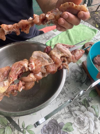An outdoor close-up shows a person's hands preparing raw chicken on skewers. The chicken pieces are seasoned with spices and appear to be a mix of thigh, wing, and bone-in cuts. Two metal skewers are visible, one held by a hand and the other resting in a large metal bowl. Another skewer with chicken is being removed from the bowl. In the background, a blue bowl contains more seasoned meat, possibly beef. The scene is set on a table covered with a floral-patterned tablecloth, with a green towel and a wooden cutting board also present. The environment suggests a casual outdoor cooking or preparation setting. The location is specified as Novyi Tahamlyk, Ukraine.