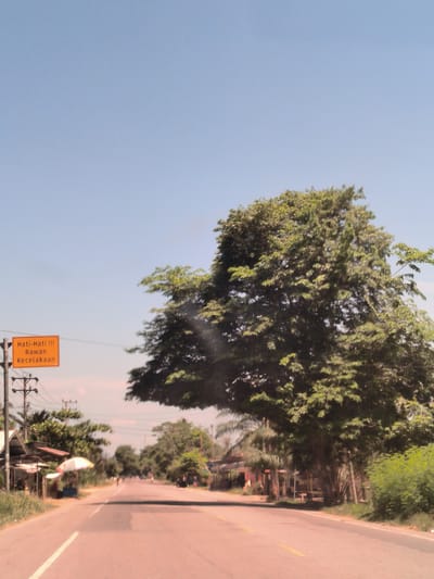 The image shows a road in Matangpanyang, Indonesia. The road is asphalt, with a yellow centerline. On the left side of the road is a yellow sign with black text that says "Hati-Hati !!! Rawan Kecelakaan", and there are power lines and some small buildings. On the right side of the road is a large green tree. The sky is blue and clear. The scene suggests a rural or suburban area.