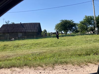 In a rural setting within the vicinity of Кухчыцкі сельскі Савет, Belarus, an outdoor scene unfolds under a clear blue sky. A weathered wooden house with a dark, corrugated roof stands on the left side of the frame, partially obscured by a dark element from the foreground, possibly the interior of a vehicle. In front of the house, a light-colored animal, likely a goat or sheep, grazes in the tall green grass. To the right of the house, a solitary individual dressed in dark clothing walks across the grassy field. Further to the right, a cluster of mature green trees dots the landscape, and a utility pole with wires stands prominently. The foreground is a dirt path with scattered stones and dry vegetation. The overall atmosphere is one of a quiet, everyday rural existence on a sunny day.