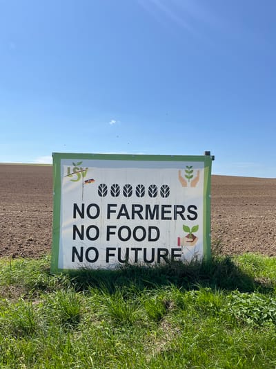 The image displays a white banner with a green border, mounted on a wooden frame, positioned in an expansive agricultural field near Schmittweiler, Germany. The banner features the prominent black text "NO FARMERS NO FOOD NO FUTURE". In the upper left, a green "LSV" logo with a stylized leaf is visible, accompanied by a small German flag on a pole next to a yellow combine harvester graphic. Six black, stylized grain or leaf icons are centered above the main text. On the upper right, an illustration depicts two hands cupping a green plant, while on the lower right, a single hand holds a small potted plant.

The immediate foreground consists of green grass and scattered weeds, with shadows cast by the sign. Beyond the banner, the landscape is dominated by vast, dark brown, freshly tilled earth extending flatly to the horizon under bright sunlight. The sky above is predominantly clear blue, with a single small white cloud visible near the left horizon and several faint, distant dark specks, likely birds, in the upper right portion. No individuals are present in the scene.
