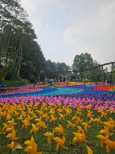 A landscape view shows a field of colorful pinwheels at the Taman Wisata Pos Pengumben tourist destination in Megamendung, Bogor Regency, Indonesia. The pinwheels are arranged in rows of distinct colors: yellow, pink, blue, purple, red. A metal structure stands behind the pinwheels with trees. The sky is overcast with clouds. The orientation of the pinwheel field goes from right to left in the picture.