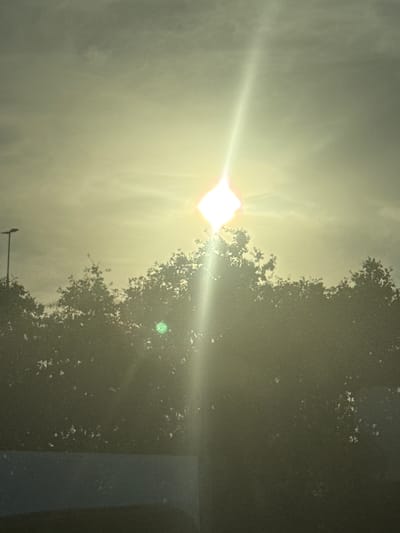 The image depicts a bright, sunlit scene with a tree silhouetted against a hazy sky. The sun, a brilliant white orb, is the primary light source, casting strong rays that create a lens flare effect. The tree is dense and leafy, with its branches extending across the upper right portion of the frame. The overall atmosphere is bright and slightly overcast, suggesting a sunny day with some atmospheric haze. The time of day appears to be daytime, likely midday or early afternoon, given the intensity of the sun. The location is identified as Wuustwezel, Belgium. No people or specific activities are visible. A subtle green circular anomaly is present in the sky near the tree. The image has a slightly grainy texture.