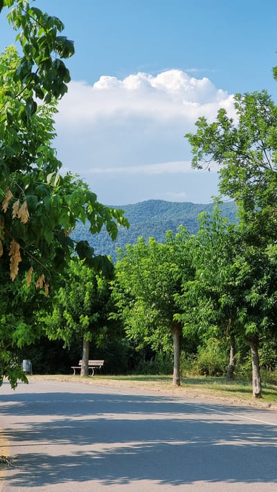 The image depicts a scenic view of a lush green landscape with a clear blue sky and fluffy white clouds. In the foreground, vibrant green foliage frames the scene, with some dried leaves also visible. Beyond the trees, rolling hills covered in dense vegetation stretch into the distance. To the right of the image, an asphalt path is visible, bordered by a grassy area and several trees casting long shadows across the path, suggesting it is a sunny day, likely in the afternoon. A park bench is placed beneath one of the trees, offering a spot to rest and enjoy the surroundings. The overall setting appears to be a park or a recreational area, possibly in a mountainous region, given the presence of the hills. The atmosphere conveyed is peaceful and serene, inviting outdoor enjoyment. No text is visible in the image.