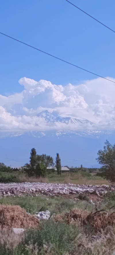 The image displays an outdoor landscape scene in the vicinity of Nor Kharberd, Armenia, featuring a prominent mountain range, likely Mount Ararat, under a clear sky.
The upper portion of the image shows a bright blue sky, bisected by at least three dark, thin power lines running diagonally from the upper left to the mid-right. Large, white, fluffy cumulus clouds are clustered around the distant mountain peaks.
The middle ground is dominated by a snow-capped mountain range, presenting a blueish-grey appearance due to distance and atmospheric conditions. The peaks are partially enveloped by the white clouds. Below the mountains, a rural or semi-rural area is visible, containing several structures with light-colored roofs interspersed among green trees and foliage. Two tall, slender trees stand prominently in the left-center of this section.
The foreground is characterized by a wide, horizontal expanse of accumulated debris or waste materials, predominantly light grey and white, suggestive of construction rubble or discarded refuse. This field of debris covers a substantial area at the bottom of the image. Interspersed within the immediate foreground are patches of green grass and areas of dry, brown vegetation.
No individuals, animals, or specific activities are visible within the frame.