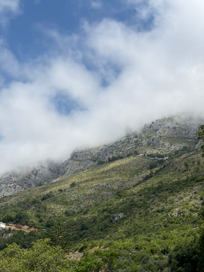 A mountainous landscape near Rijeka Reževići, Montenegro, is depicted under a partly cloudy sky. The terrain is rugged, with rocky outcrops and slopes covered in sparse vegetation and scattered trees. White clouds partially obscure the upper reaches of the mountains, creating a hazy effect. In the foreground, denser green foliage forms a contrast to the rocky slopes. A visible road winds along the mountainside, and a white building is partially visible on the left side of the image. Power lines and poles are also present on the slopes.