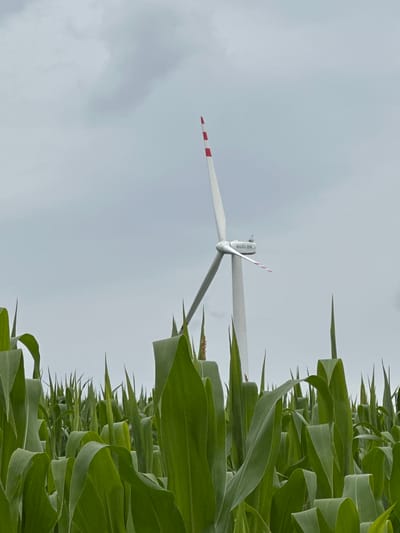 An eye-level, medium shot captures a wind turbine in the background, standing tall amidst a dense field of green corn stalks. The sky above is overcast, with a muted grey hue. The wind turbine is white with red markings on its blades and body. The name "SUZLON" is visible on the turbine's nacelle. The corn stalks in the foreground are lush and vibrant green, with some stalks showing signs of tassel development. The overall scene depicts a rural landscape in Kolubaivtsi, Ukraine, focused on renewable energy infrastructure within an agricultural setting.