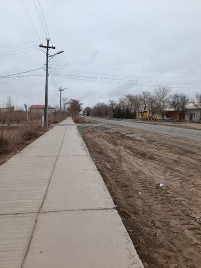 A long concrete sidewalk parallels a muddy, disturbed ground next to a paved road. Utility poles with power lines stretch into the distance under an overcast sky. Leafless trees line the road opposite the sidewalk, with buildings visible behind them. The scene evokes a sense of rural or suburban stillness, possibly in late autumn or early spring. Debris litters the ground near the sidewalk.