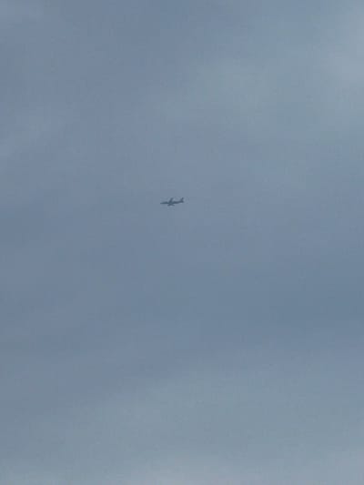 An airplane is visible in the distance against a pale, overcast sky. The aircraft is small in the frame and appears to be a passenger jet, with its wings and fuselage clearly discernible. The sky is a uniform, muted blue-grey, suggesting a cloudy or hazy day. No other objects or details of the environment are visible. The location is unknown, Malaysia.