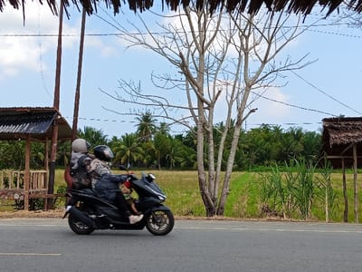 An outdoor scene in Keudealuerheung, Indonesia, displays a black scooter-type motorcycle in motion on an asphalt road under a partially cloudy blue sky. Three individuals are aboard the motorcycle, traveling from left to right. The driver, an adult, wears a black full-face helmet and a patterned long-sleeved garment. A small child, wearing a red top, is seated in front of the driver. The rear passenger, an adult, wears a light-colored helmet and a camouflage-patterned backpack.

To the left of the road, a rustic wooden shelter with a dark corrugated metal roof is visible, supported by wooden poles, with two utility poles standing behind it. Centered in the midground, a prominent deciduous tree with bare branches stands between the road and expansive green agricultural fields, which stretch into the background where a dense line of palm trees is visible. To the right of the scene, another smaller, open-sided structure with a thatched roof is present, with tall green stalks of vegetation bordering the roadside in front of it.