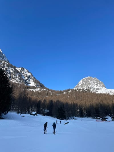 The image depicts a winter scene in a mountainous area within the commune of Vallorcine, France. The foreground features a wide, snow-covered expanse with visible ski tracks. Five individuals are present, equipped with skis and poles, appearing to be ski touring or cross-country skiing uphill. The two closest individuals are in dark winter attire, carrying backpacks, and positioned in the lower-center of the frame, moving away from the viewer. Three additional skiers are further back in the midground, also moving in the same general direction.

The midground consists of a forest line predominantly of bare deciduous trees, likely larch, with some darker evergreen trees interspersed. Several large rocks are visible within the snow near the tree line. On the far right, partially obscured by snow and trees, are small structures, possibly chalets or ski huts, accompanied by red safety netting or fencing.

The background is dominated by snow-capped mountains under a clear, bright blue sky. A rugged, snow-covered mountain slope with exposed rock and scattered trees rises on the left. A prominent, triangular snow-capped peak with distinct rock faces is visible on the right side of the frame. The lighting indicates direct sunlight, illuminating the mountains and casting shadows on the snow and trees.