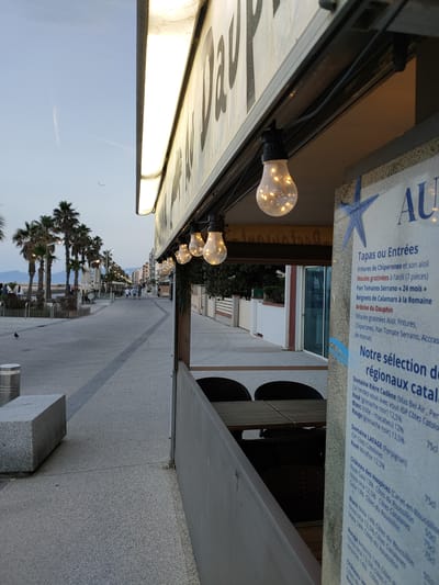 The image depicts a view down a promenade in Canet-en-Roussillon, France, likely near the beach, given the palm trees and the clear sky. In the foreground, a portion of an outdoor dining establishment's menu board is visible on the right, displaying food and wine selections. String lights are suspended above the establishment's covered area, with a few glowing bulbs clearly visible. The promenade itself is paved and appears to be lined with palm trees on the left. Several people are walking along the promenade in the distance, and buildings can be seen further down the street. A solitary black bird is perched on the promenade in the middle ground. The overall atmosphere suggests a late afternoon or early evening scene.