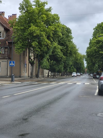 This is a photograph taken in the city of Šilutė, Lithuania, likely on a cloudy day. The image captures a street scene with a focus on a tree-lined road. On the left side of the street, there is a two-story building with a tiled roof and several windows. Adjacent to the building, a pedestrian crossing sign is visible on a pole. The road itself is asphalt and appears wet, with white lane markings. Several cars are on the road, some driving, and others parked along the side. The trees lining the street are full of green leaves, indicating it is likely late spring or summer. The sky is overcast with gray clouds. The perspective is from street level, looking down the road.