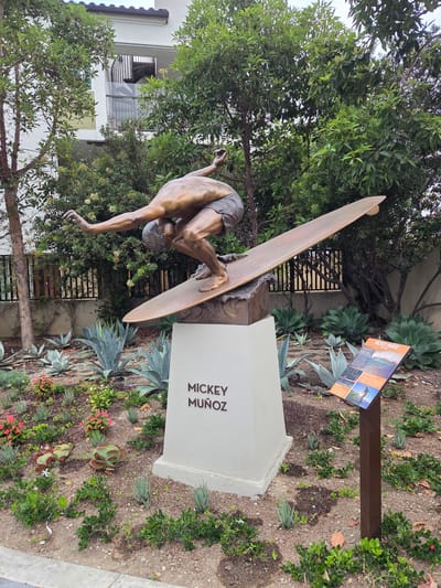 A bronze sculpture of a surfer named Mickey Munoz is displayed in a garden in Dana Point, California, USA. The sculpture depicts Munoz in a dynamic pose on a surfboard, with his body arched and his arms extended. He is wearing shorts. The sculpture is mounted on a white pedestal with his name, "MICKEY MUÑOZ," inscribed on it. The garden features a variety of succulents, flowering plants, and trees, creating a lush and natural setting. To the right of the sculpture, there is a sign with information and images related to Mickey Munoz and surfing. The background includes a modern building with a spiral staircase and a fence.