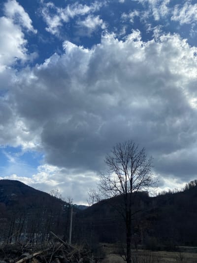 This image depicts a mountainous, rural landscape in Mateševo, Montenegro, under a heavily clouded sky. The upper two-thirds of the frame are dominated by a dense formation of dark gray stratocumulus clouds, transitioning to patches of clear blue sky with white cumulus clouds in the upper left quadrant. The lighting suggests an overcast condition with some brighter areas indicating potential sunlight behind or through the cloud cover.

In the mid-ground, a tall, leafless deciduous tree with a dark trunk and bare branches stands prominently in the center-right. To its left, a concrete utility pole with visible power lines extends vertically. Another, smaller bare tree is partially visible to the left of the utility pole. The foreground on the left features a low pile of cut logs and branches, indicative of cleared brush or timber. The ground in the immediate foreground and mid-right appears dry and sparsely vegetated with light brown or yellowish grass.

In the background, dark, densely forested mountains or hills rise on both the left and right sides of the frame, their contours visible beneath the cloud line. The vegetation on these slopes also appears to be deciduous trees in a dormant, leafless state. No individuals, animals, or specific architectural structures are discernibly present within the frame. The overall impression is one of a natural landscape during a non-foliage season.